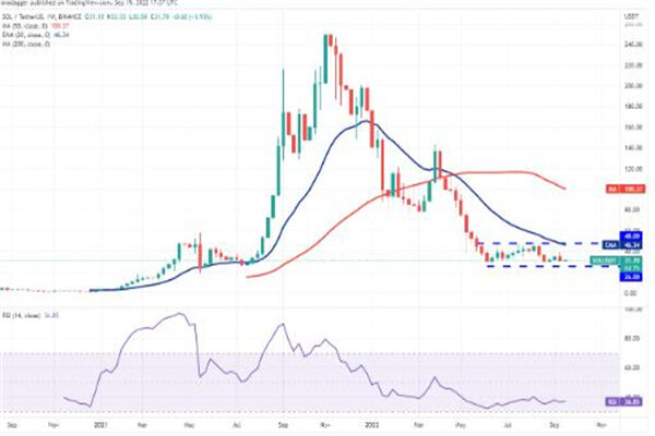 sol币今日最新价格 索拉纳币最新行情消息-第3张图片-芝麻交易所下载